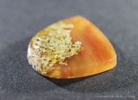 Baker ranch Moss Agate cabochon, New Mexico, USA.  34.50 carats.