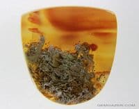 Baker ranch Moss Agate cabochon, New Mexico, USA.  34.50 carats.