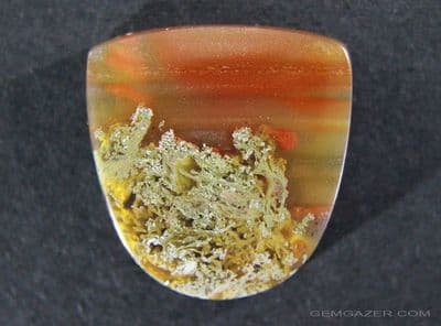 Baker ranch Moss Agate cabochon, New Mexico, USA.  34.50 carats.