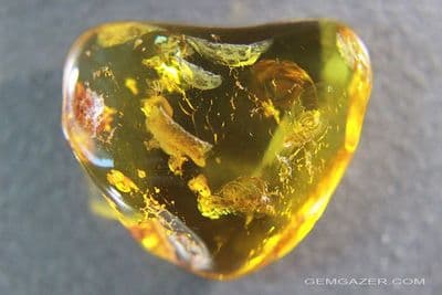 Baltic Amber cabochon with Midge inclusions, 16.59 carats / 3.32 grams.