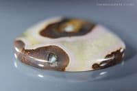 Banded Agate cabochon, Scotland UK.  71.46 carats.