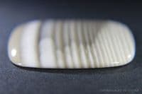 Banded Flint cabochon, Poland.  41.52 carats.