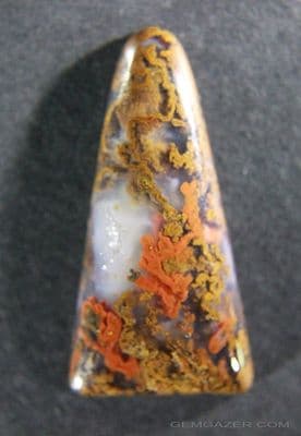 Bay of Fundy moss Agate cabochon, Canada.  29.13 carats.