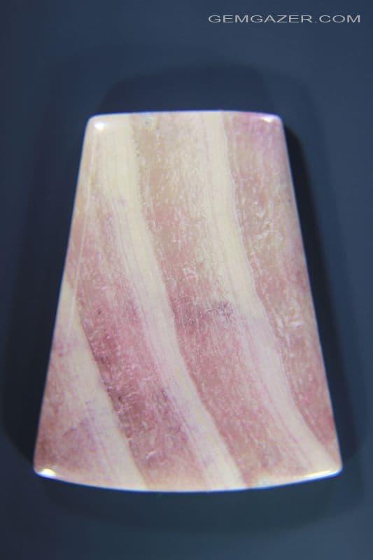 Beetroot Stone fossil Red Algae cabochon Gloucester England 46 29 carats
