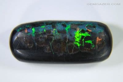 Black Fossil Wood Opal cabochon, Indonesia. 3.28 carats. (Video).  ** SOLD **