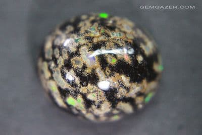 Black Leopard Opal cabochon, Mexico. 15.42 carats.