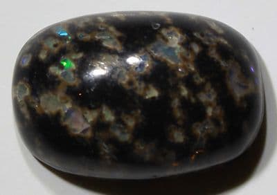 Black Leopard Opal cabochon,  Mexico.  15.54 carats.
