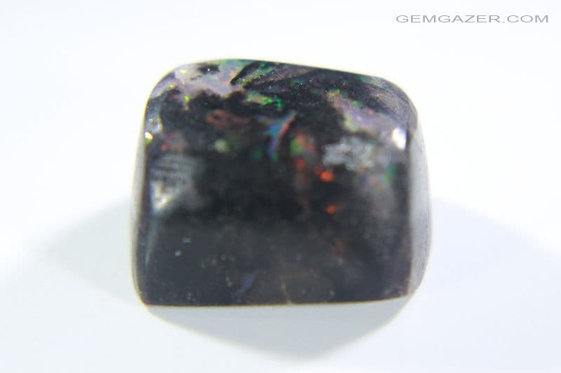 Black Wood Opal cabochon Indonesia 4 15 carats See video