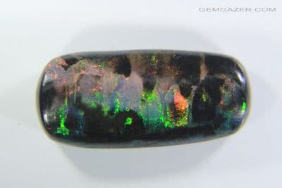 Black Wood Opal cabochon, Indonesia. 5.12 carats.  (See video)