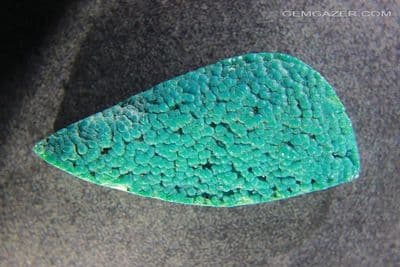 Botryoidal Chrysocolla cabochon, Peru. 79.48 carats.