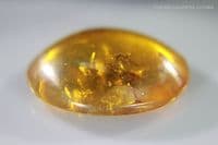 Burmite Amber cabochon, Myanmar. 20.27 carats.