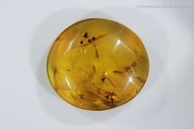 Burmite Amber cabochon, Myanmar. 20.27 carats.