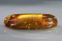 Burmite Amber cabochon with, Mosquito, Fly swarm etc. Myanmar. 13.30 carats.  ** SOLD **