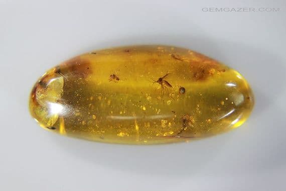 Burmite Amber cabochon with, Mosquito, Fly swarm etc. Myanmar. 13.30 carats.  ** SOLD **