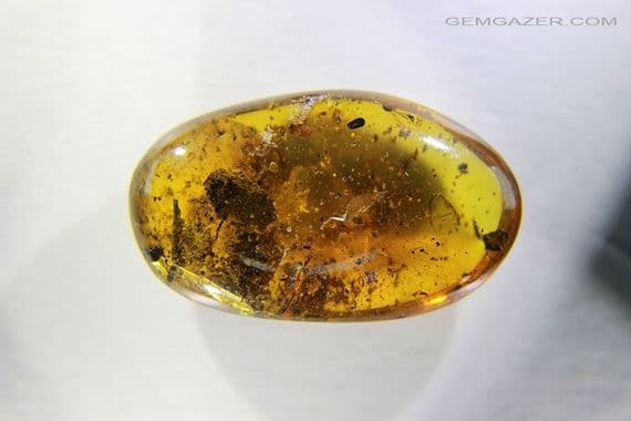 Burmite Amber cabochon with multiple insect inclusions,  Myanmar. 16.82 carats.
