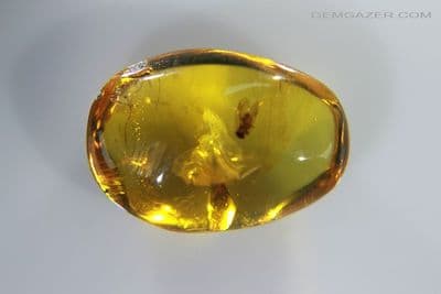 Burmite amber with Fly insect inclusion, Myanmar. 2.44 carats.