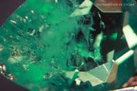 Chatham synthetic Emerald, faceted. 0.86 carat.