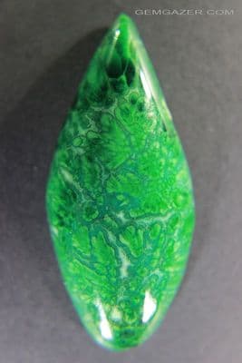 Chrysocolla cabochon with Malachite plumes, Arizona USA. 43.26 carats.