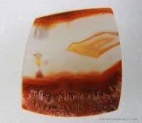 Condor Fortification Sagenitic Agate cabochon, Patagonia, Argentina.  22.31 carats.