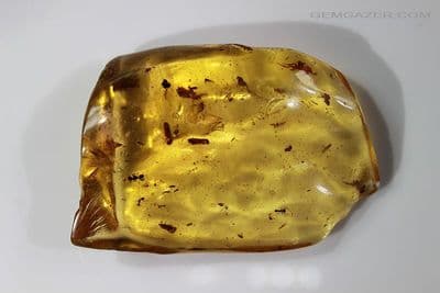 Copal Resin specimen with insect inclusions, Colombia. 88.20 carats / 17.64 grams.