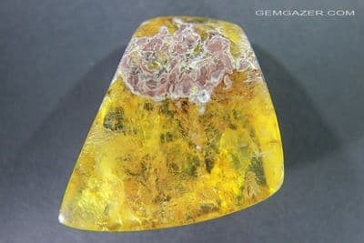 Copal Resin with Wood debris, Colombia.  48.36 carats / 9.67 grams.