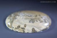 Cotham Marble cabochon, Bristol UK. 48.75 carats.