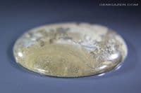 Cotham Marble cabochon, Bristol UK. 48.75 carats.  ** SOLD **