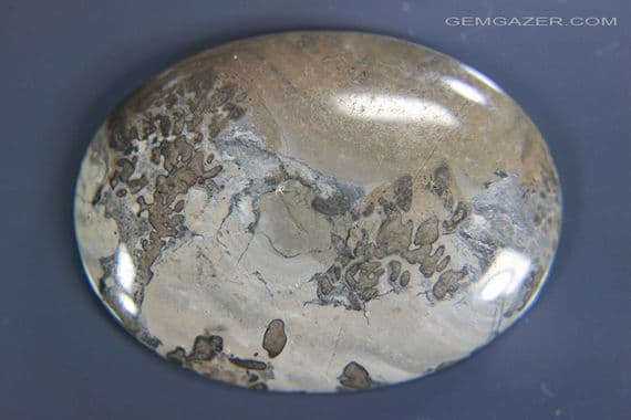 Cotham Marble cabochon, Bristol UK. 48.75 carats.  ** SOLD **
