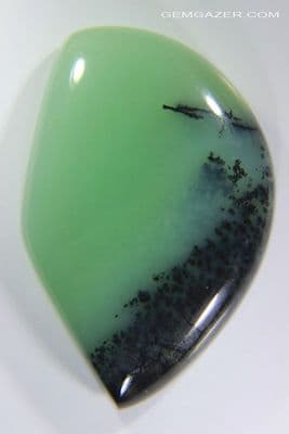 Dendritic Chrysoprase cabochon, Australia. 54.59 carats.