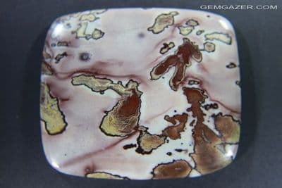 Dendritic Flower Rhyolite cabochon, China.  136.98 carats