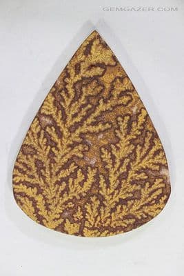 Dendritic Limestone cabochon, Germany. 145.87 carats.
