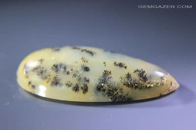 Dendritic Opal cabochon, Brazil. 41.14 carats.