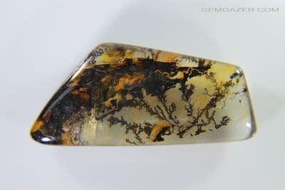 Dendritic Quartz cabochon, Brazil. 13.92 carats.