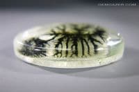Dendritic Quartz / resin doublet cabochon. 37.58 carats.