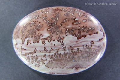 Dendritic Rhyolite cabochon, China. 86.68 carats.