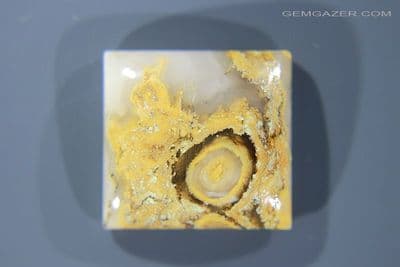 Flowering Tube Agate cabochon, USA. 24.58 carats.