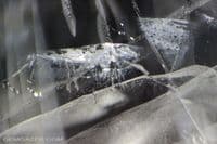 Forsterite, colourless faceted, Myanmar.  7.43 carats.