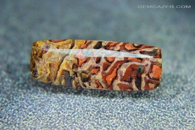 Fossil Dinosaur bone, faceted, USA. 3.82 carats.