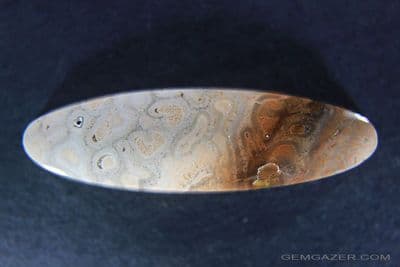 Fossil Fern root cabochon, Brazil. 23.95 carats.