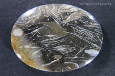 Fossil Fusulinid, aka Feather Agate cabochon, Indonesia.  47.68 carats.