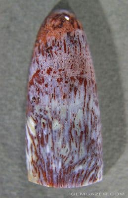 Fossil Palm wood cabochon, Mexico.  30.75 carats.