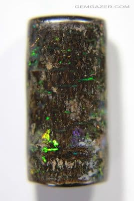 Fossil Wood Opal cabochon, Indonesia. 14.87 carats. (Video)