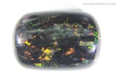 Fossil Wood Opal cabochon, Indonesia. 9.13 carats. (Video)