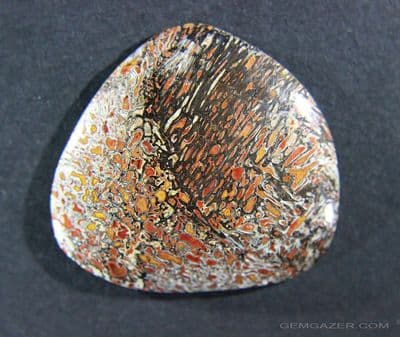Fossilized Dinosaur bone cabochon, USA.  85.09 carats.