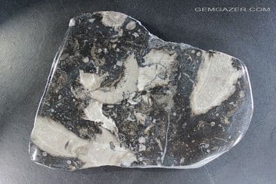 Frosterley Marble polished slab, County Durham, England. 96.65 grams.