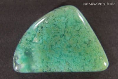 Gem Silica cabochon with Chrysocolla plumes, Arizona USA. 28.18 carats