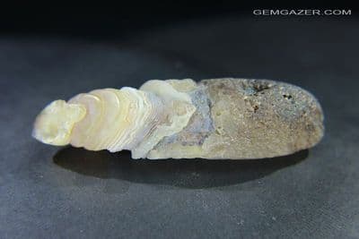 Gobi Desert Agate pebble. Mongolia. 183.90 carats / 36.78 grams. ** SOLD **