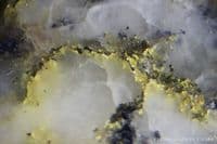 Gold in Quartzite cabochon, 16-1 mine, California, USA.  8.49 carats.