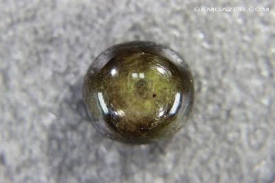 Green Star Sapphire cabochon, lead-glass treated. 10.30 carats. (Video)