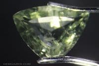 Herderite, green faceted, Brazil.  2.75 carats.